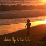 Articles on Socially Engaged Buddhism and a New&nbsp;Program